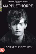 Watch Mapplethorpe: Look at the Pictures 123netflix