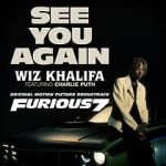 Watch Wiz Khalifa Ft. Charlie Puth: See You Again 123netflix