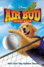 Watch Air Bud Spikes Back 123netflix