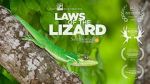 Watch Laws of the Lizard 123netflix