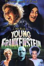 Watch Young Frankenstein 123netflix