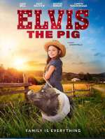 Watch Elvis the Pig 123netflix