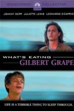 Watch What's Eating Gilbert Grape 123netflix