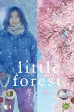 Watch Little Forest: Winter/Spring 123netflix
