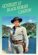 Watch Gunfight at Black Horse Canyon 123netflix