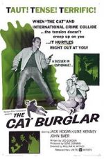 Watch The Cat Burglar 123netflix