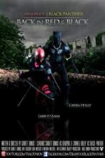 Watch Deadpool and the Black Panther 123netflix