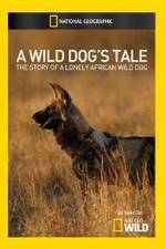 Watch A Wild Dogs Tale 123netflix