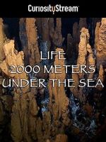 Watch Life 2,000 Meters Under the Sea 123netflix