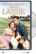 Watch Son of Lassie 123netflix