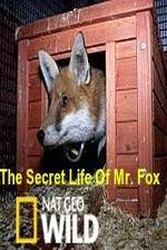 Watch The Secret Life of Mr. Fox 123netflix