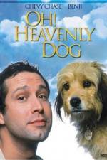 Watch Oh Heavenly Dog 123netflix