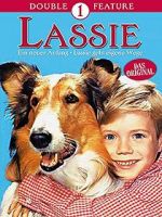 Watch Lassie: A New Beginning 123netflix