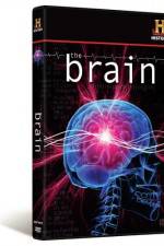 Watch The Brain 123netflix