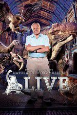 Watch David Attenborough\'s Natural History Museum Alive 123netflix