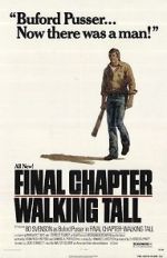 Watch Final Chapter: Walking Tall 123netflix
