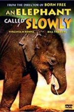 Watch An Elephant Called Slowly 123netflix