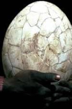 Watch Attenborough And The Giant Egg 123netflix