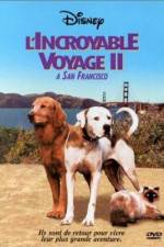 Watch Homeward Bound II Lost in San Francisco 123netflix