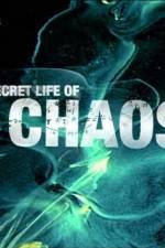 Watch The Secret Life of Chaos 123netflix