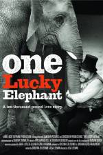 Watch En lycklig elefant 123netflix