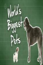 Watch World's Biggest Pets 123netflix