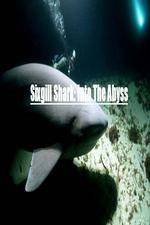 Watch National Geographic Wild Sixgill Shark Into The Abyss 123netflix