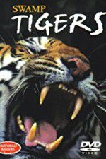 Watch Swamp Tigers 123netflix