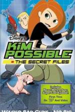 Watch "Kim Possible" Attack of the Killer Bebes 123netflix