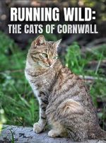 Watch Running Wild: The Cats of Cornwall (TV Special 2020) 123netflix
