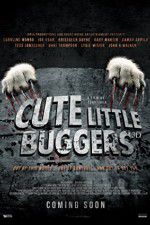 Watch Cute Little Buggers 123netflix