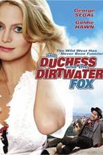 Watch The Duchess and the Dirtwater Fox 123netflix