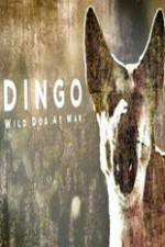 Watch Dingo Wild Dog at War 123netflix