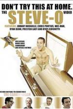 Watch Don't Try This at Home The Steve-O Video 123netflix