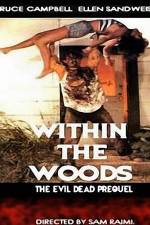 Watch Within the Woods 123netflix