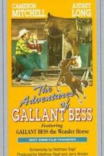 Watch Adventures of Gallant Bess 123netflix