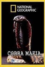 Watch National Geographic Cobra Mafia 123netflix