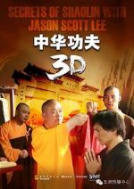 Watch Secrets of Shaolin with Jason Scott Lee 123netflix