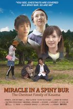 Watch Miracle in Kasama 123netflix