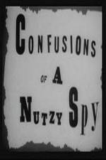 Watch Confusions of a Nutzy Spy 123netflix