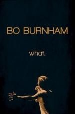 Watch Bo Burnham: what. 123netflix