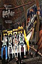 Watch Harry Potter and the Forbidden Journey 123netflix