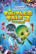 Watch A Turtle\'s Tale 2: Sammy\'s Escape from Paradise 123netflix