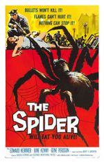 Watch The Spider 123netflix