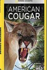 Watch National Geographic - American Cougar 123netflix