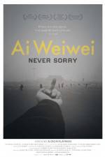 Watch Ai Weiwei Never Sorry 123netflix