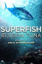 Watch Superfish Bluefin Tuna 123netflix