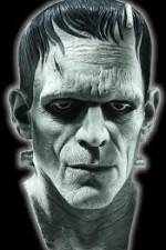 Watch Frankenstein Birth of a Monster 123netflix