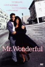 Watch Mr Wonderful 123netflix