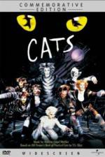 Watch Great Performances Cats 123netflix
